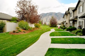 Central Greenspace 2 summer 2014