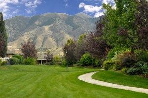 Central Greenspace summer 2014