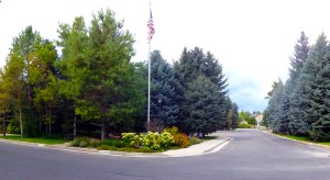 Clubhouse garden summer 2014